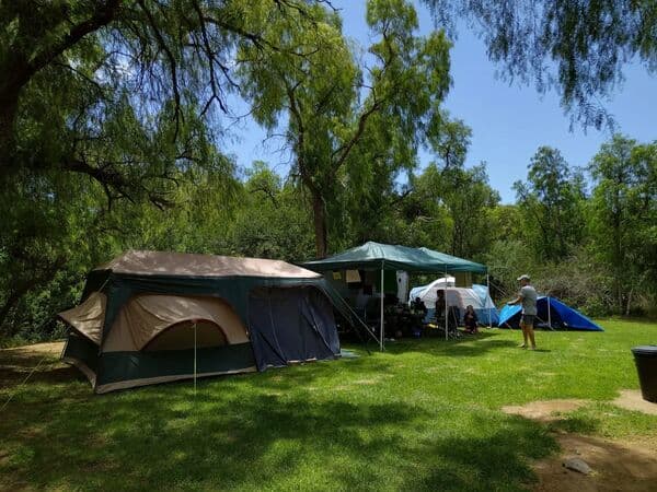 Oryx Corner gallery 4