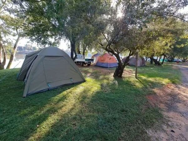 Tents by the river under shady trees