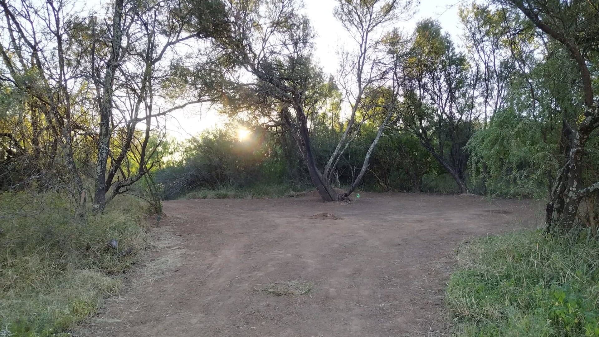 Sunset over campsite clearing at Red Dune Camp